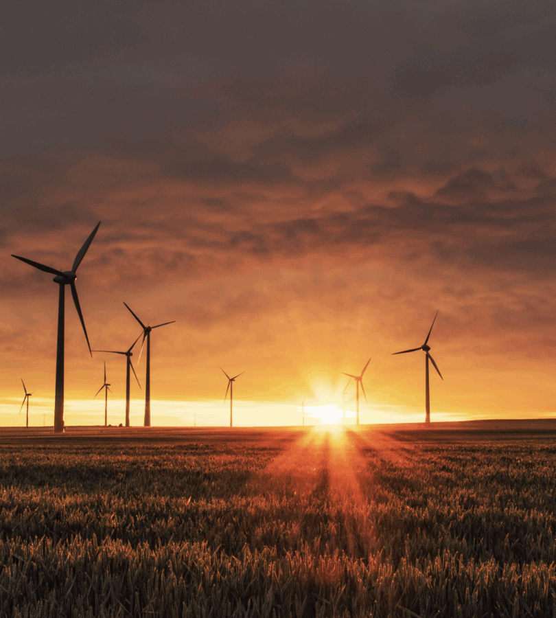 How a global energy leader built capability from within